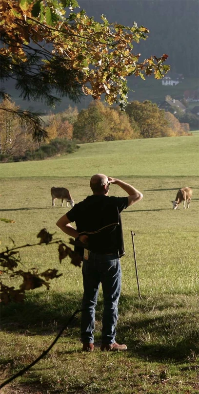 Contacto vacuno sostenible